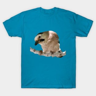 Geeky Gormless Looking Jay Perched On A Branch Cut Out T-Shirt